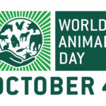 Remus World Animal Day 2021
