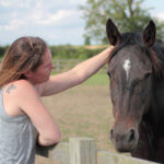 Remus Horses and Mental Health c Sophie Boeme