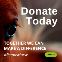 Donate Today, Together we can make a difference
