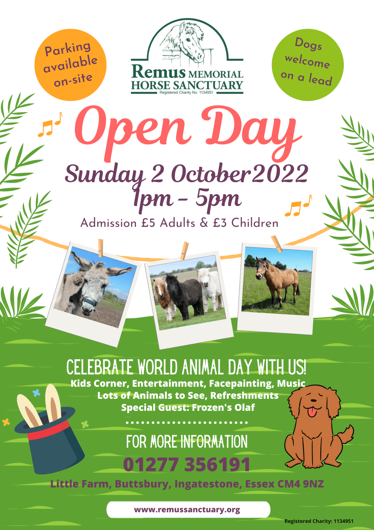 Celebrate World Animal Day at Remus Horse Sanctuary on Sunday 2 October 2022