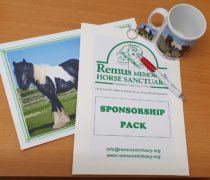Remus Special Sponsorship Pack