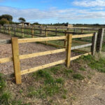 Remus fence appeal