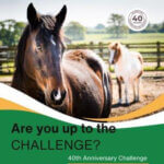 Remus Challenge Poster