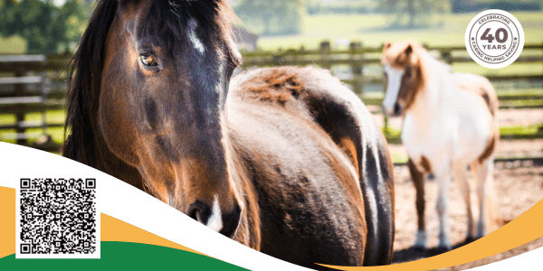 Remus Memorial Horse Sanctuary