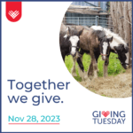 Remus GivingTuesday 2023