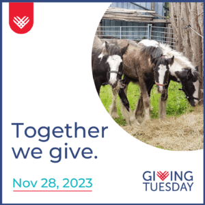 Remus GivingTuesday 2023