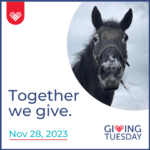 Remus GivingTuesday 2023