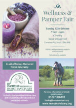 Remus Wellness & Pamper Fair Poster 2025