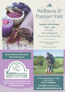 Remus Wellness & Pamper Fair Poster 2025