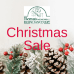 Christmas Sale