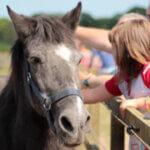 Remus pony days image