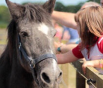 Remus pony days image