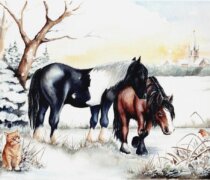 Remus Charlie, Dante & Ginger the Cat Xmas card 2025