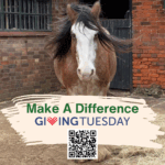 Holly Giving Tuesday