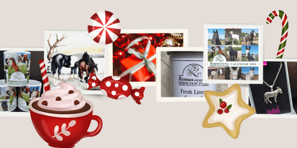 Remus Memorial Horse Sanctuary