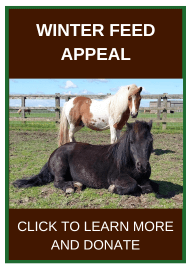 Remus Winter Feed Appeal