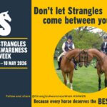 Don't let Strangles come between you