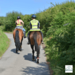 Horse riders on road