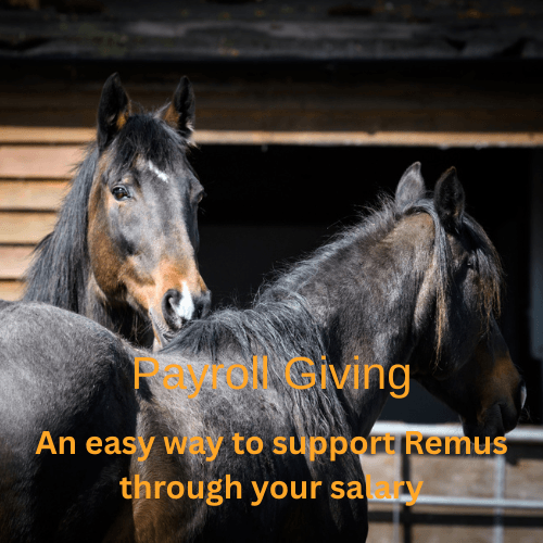 Payroll Giving