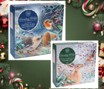 Grandma Wild's Biscuits